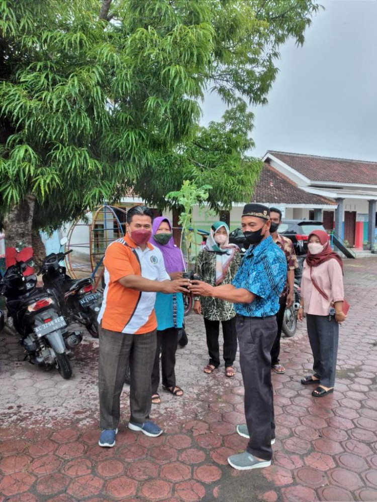 Bantu Ekonomi Desa, Alimin Serahkan 11.200 Bibit Pohon dan Buah-buahan
